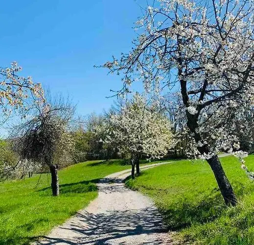 Castagneti House -14 Km Dalla Ferrari 아파트 *